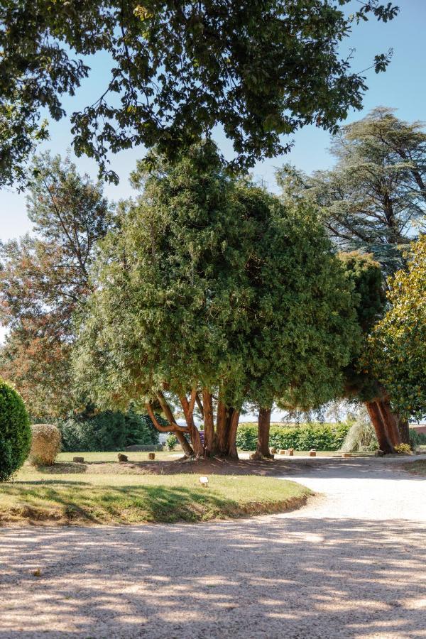 Hotel Château Du Clair De Lune - Les Collectionneurs 4*